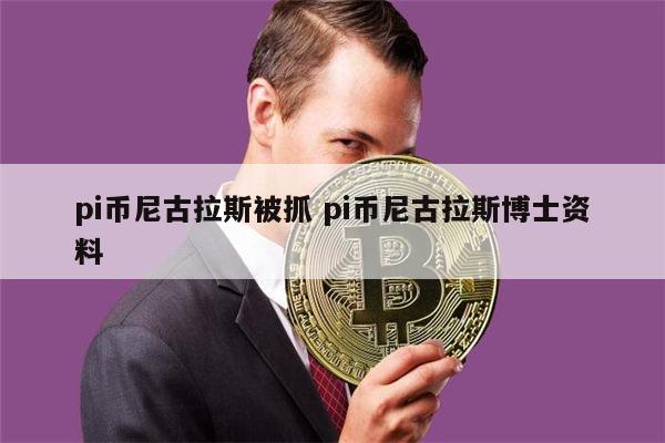 pi币尼古拉斯被抓 pi币尼古拉斯博士资料 第1张