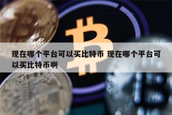 现在哪个平台可以买比特币 现在哪个平台可以买比特币啊 第1张